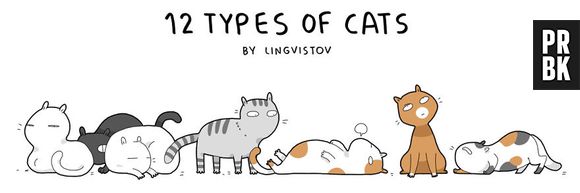 Veja com o Purebreak os 12 tipos de gatos que existem!