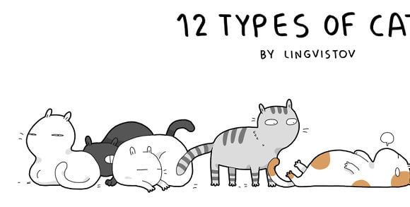 Dono de gato? Dê uma olhada nos 12 tipos que existem e veja se o seu se parece com eles!