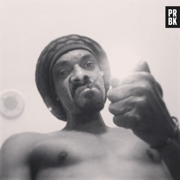 Se o objetivo é navegar pelas imagens e se divertir, você não pode deixar de conferir as fotos de Snoop Lion (Dogg). Mulheres seminuas, piadinhas e muito 4:20!