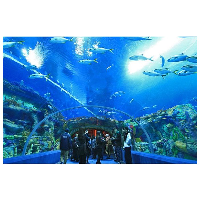 Aquarium of Western Australia é o maior aquário da Austrália e é bastante conhecido por esse túnel subterrâneo