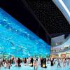 Dubai Mall Aquarium é um gigantesco aquário que fica em um shopping super luxuoso de Dubai. A obra possui 33 mil animais marinhos