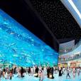Dubai Mall Aquarium é um gigantesco aquário que fica em um shopping super luxuoso de Dubai. A obra possui 33 mil animais marinhos