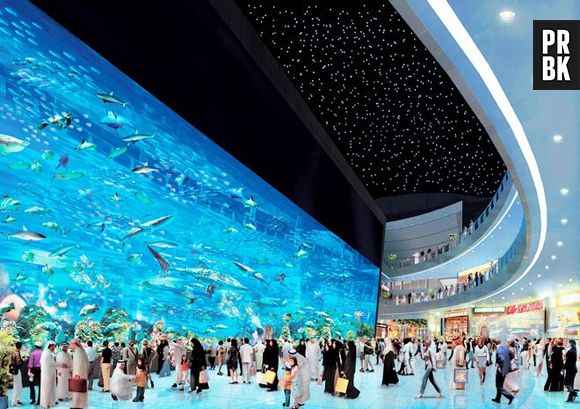 Dubai Mall Aquarium é um gigantesco aquário que fica em um shopping super luxuoso de Dubai. A obra possui 33 mil animais marinhos