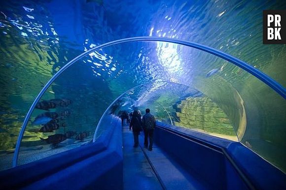 Turkuazoo é um aquário público que fica na Turquia