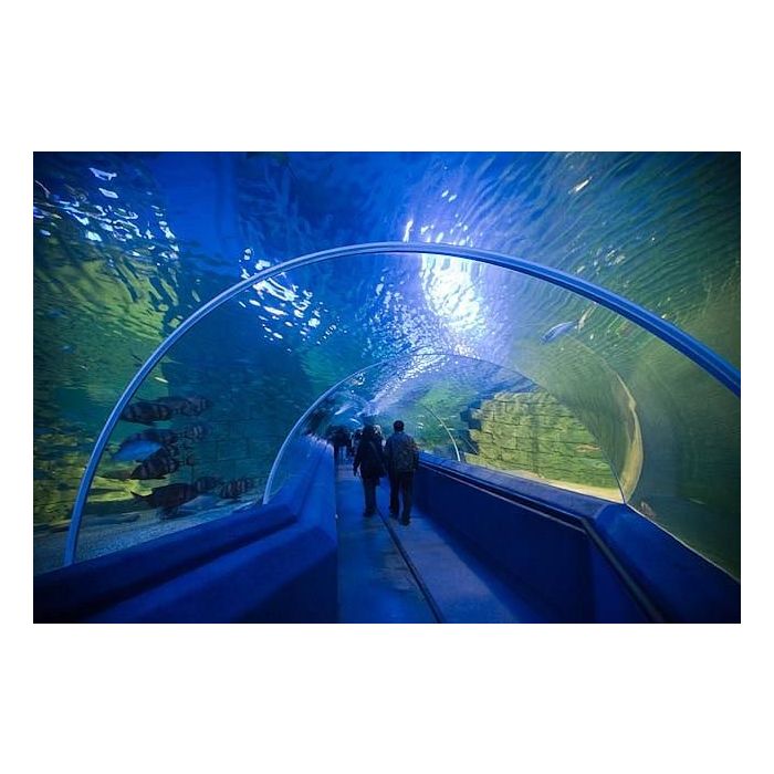 Turkuazoo é um aquário público que fica na Turquia