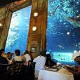 Já pensou em jantar perto de tubarões? No uShaka Marine World, na África do Sul, isso é possível