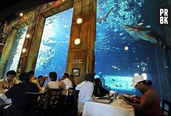 Já pensou em jantar perto de tubarões? No uShaka Marine World, na África do Sul, isso é possível