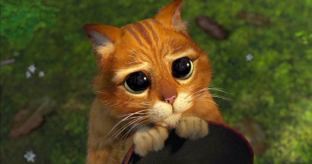 O Gato de Botas pode retornar no novo filme de Shrek - Purebreak