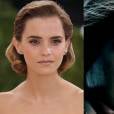 Olha mais uma dobradinha aí! Emma Watson, a eterna Hermione, também pode dizer que o filme mais lucrativo de sua carreira é "Harry Potter e As Relíquias da Morte: Parte 2"