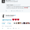 Nick Jonas e Camila Cabello trocaram elogios no Twitter e aumentaram mais ainda a expectativa de um relacionamento pelos fãs