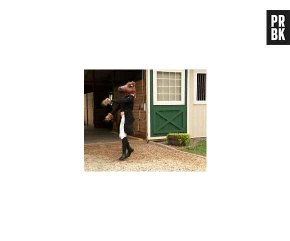 cavalo