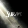  Novo p&ocirc;ster de "The Walking Dead", na quinta temporada, Rick (Andrew Linconl) ser&aacute; um dos sobreviventes! 