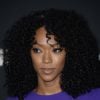 Sonequa Martin-Green revelou em seu Twitter que saberemos mais sobre a Sasha na quinta temporada de "The Walking Dead"