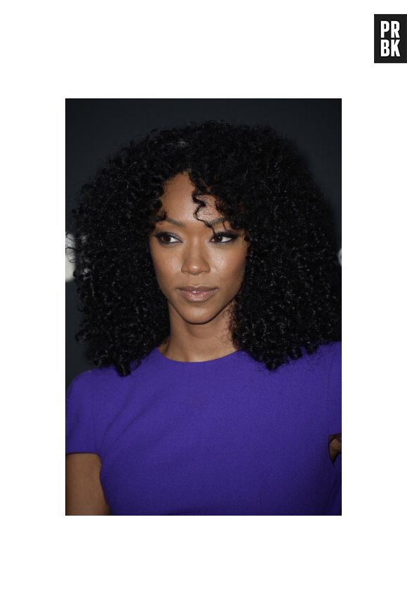 Sonequa Martin-Green revelou em seu Twitter que saberemos mais sobre a Sasha na quinta temporada de "The Walking Dead"