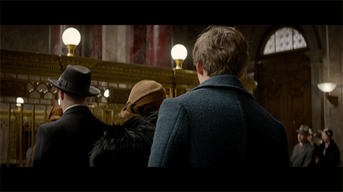 Eddie Redmayne interpreta o protagonista Newt Scamander em "Animais Fantásticos e Onde Habitam"!
