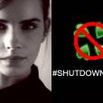  Discurso de Emma Watson na ONU levou empresa americana a criar um viral envolvendo fotos nuas da atriz para pedir censura da internet 