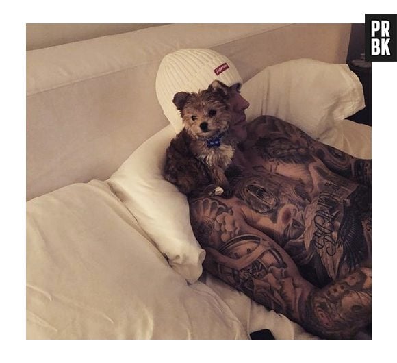 Oscar, cachorrinho de Justin Bieber e Hailey Baldwin, sofreu agressão da modelo?