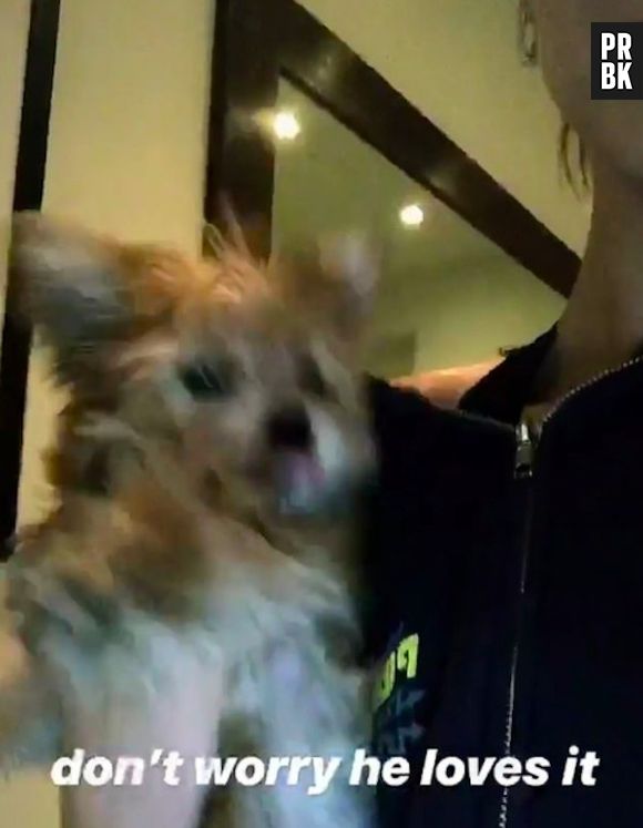 Hailey Baldwin publicou um vídeo com Oscar e recebeu muitas críticas