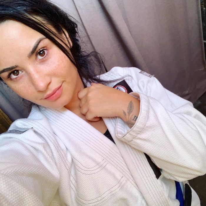 Demi Lovato se envolve em polêmica na internet