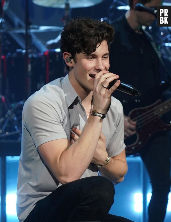 Grammy 2019: é a primeira vez que Shawn Mendes é indicado