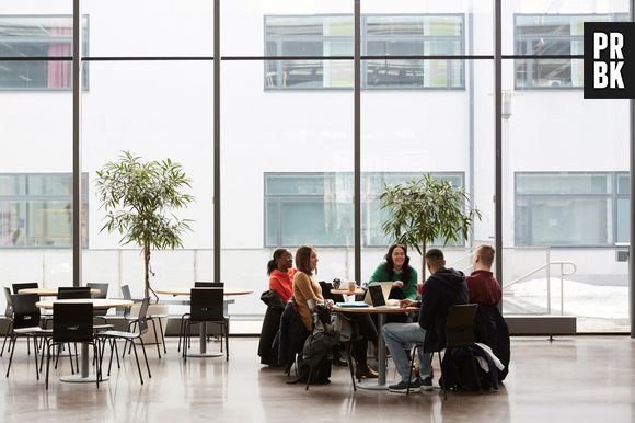 Quais cursos de faculdade você faria? O Top 5 do Twitter quer saber!