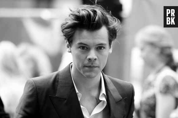 Segundo amigo, próximo álbum do Harry Styles será sobre término do cantor com modelo