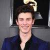Shawn Mendes responde paparazzo e deixa claro que seu namoro com Camila Cabello não é fake