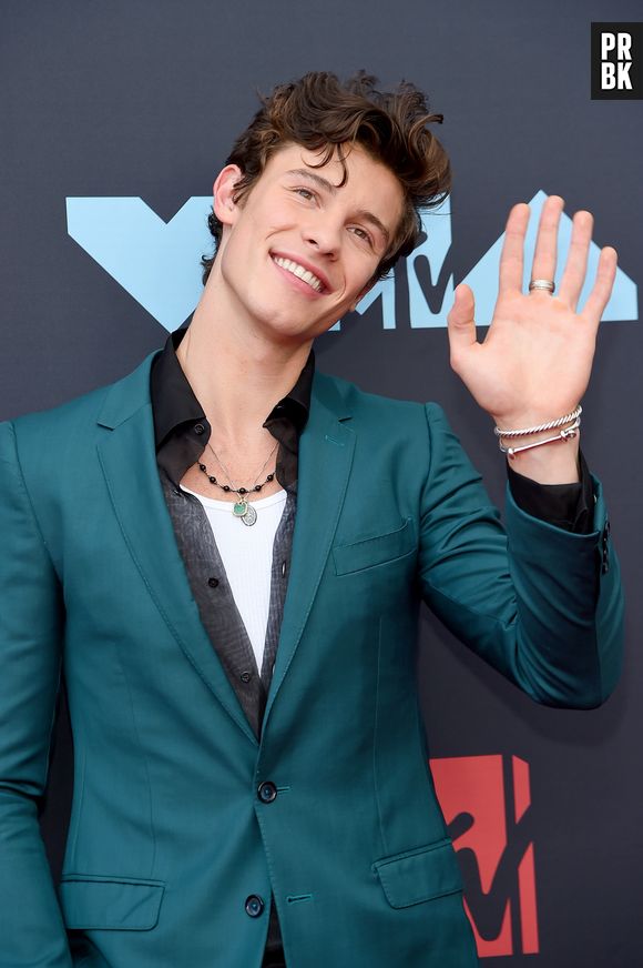 Shawn Mendes responde paparazzo que questionou seu namoro com Camila Cabello
