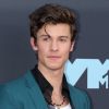 Shawn Mendes fala sobre seu namoro com Camila Cabello e deixa claro: "Nós, definitivamente, não somos uma jogada de publicidade"