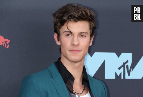 Shawn Mendes fala sobre seu namoro com Camila Cabello e deixa claro: "Nós, definitivamente, não somos uma jogada de publicidade"