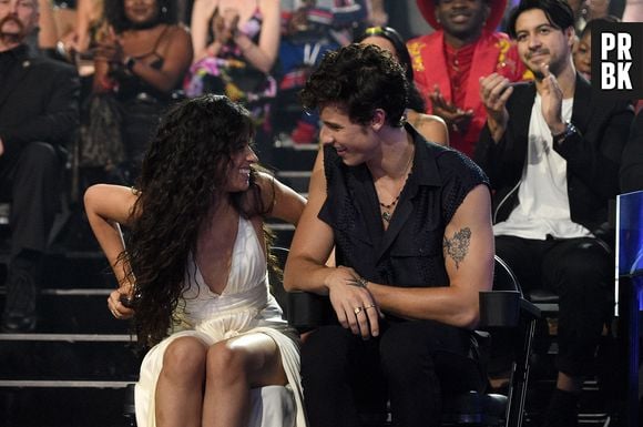 Shawn Mendes tinha decidido não contar sobre seus sentimentos para Camila Cabello, até que recebeu um sinal