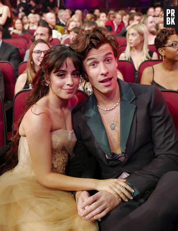 Shawn Mendes revela que sempre foi apaixonado por Camila Cabello
