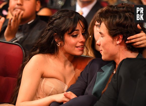 Camila Cabello já tinha dito que sentia a mesma energia por Shawn Mendes