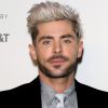 Zac Efron pode ter contraido febre tifoide