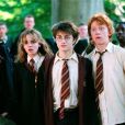 "Harry Potter" teve 7 livros lançados e 8 filmes nos cinemas