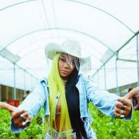 Nova ação do Instagram permitirá que fãs participem de clipes da Ludmilla, Melim ou Larissa Manoela