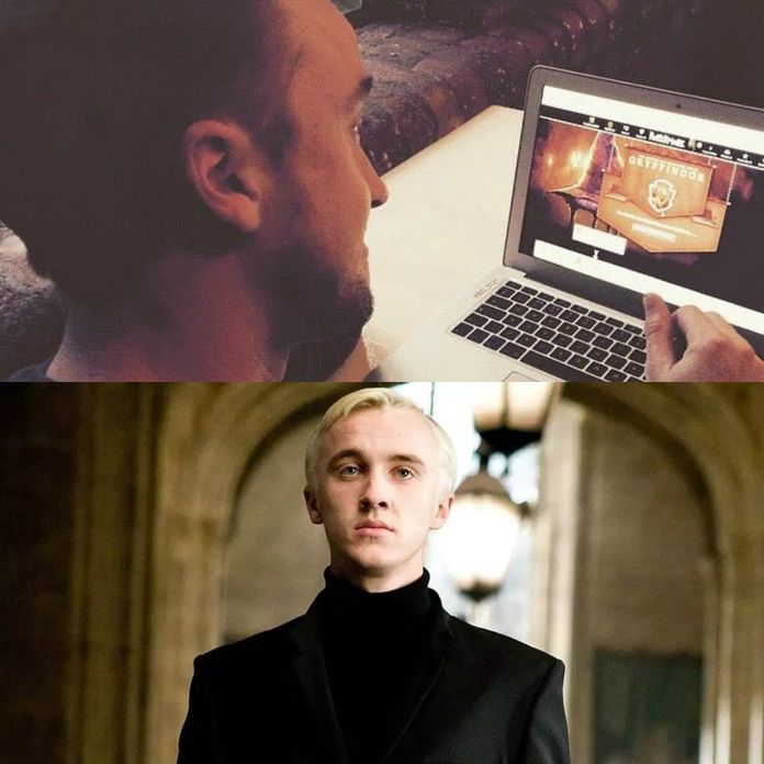 tom felton de harry potter faz teste das casas de hogwarts nao tira sonserina e vira meme purebreak