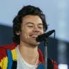 Harry Styles precisa fazer show no Brasil em 2021, né?