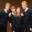 "Harry Potter": a família Weasley continua sendo a queridinha dos fãs
