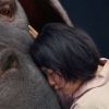 Conheça 10 filmes para assistir e chorar muito