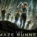 Produção de The Maze Runner: The Death Cure encerrada indefinidamente  devido à gravidade das lesões de Dylan O'Brien