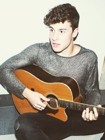 Shawn Peter Raul Mendes